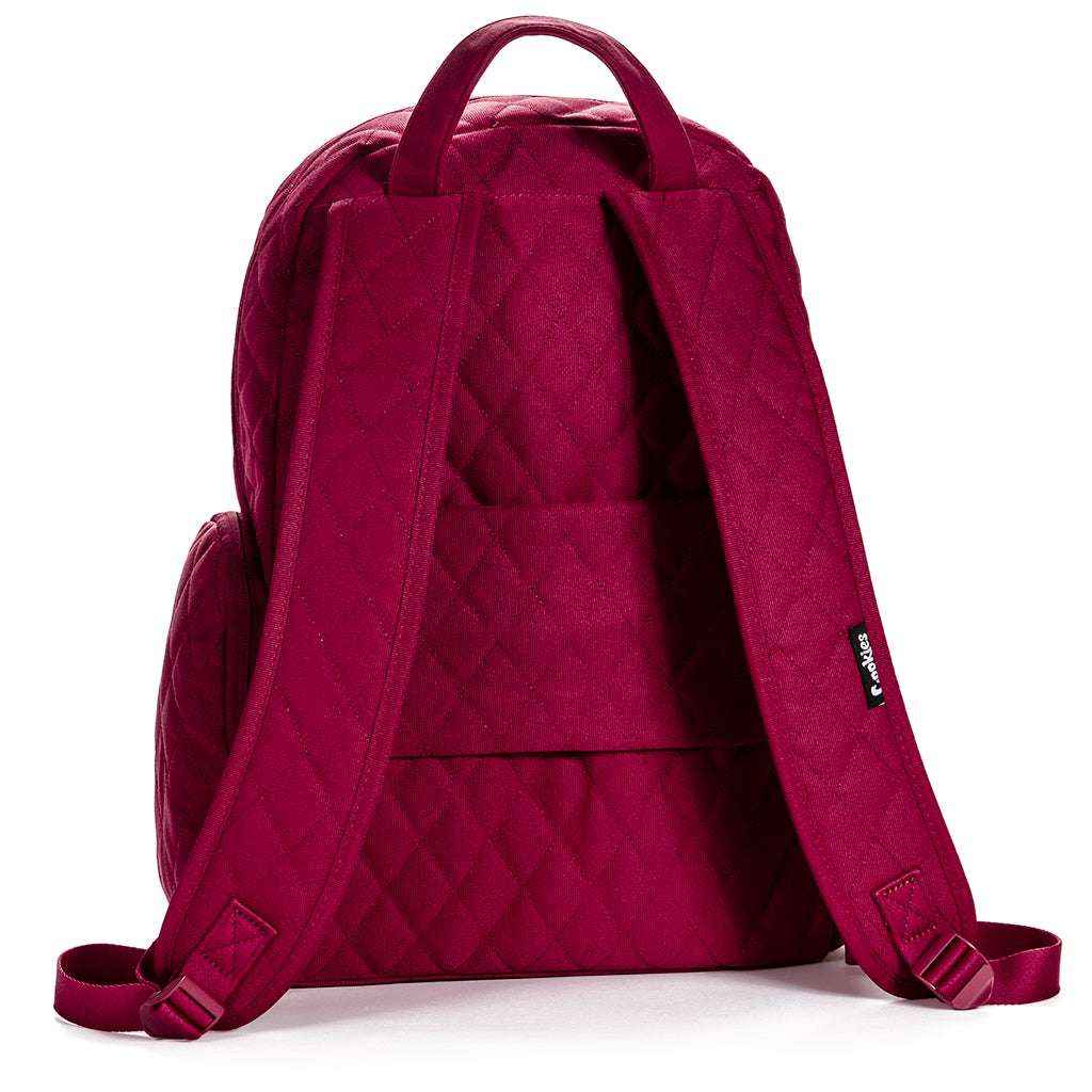 Cookies V4 Smell Proof Backpack - Secure Odor-Free Storage for Your Belongings