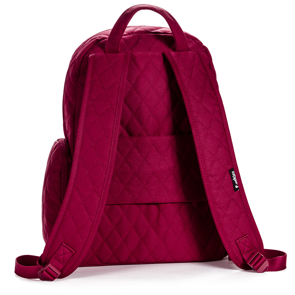 Cookies V4 Smell Proof Backpack - Secure Storage for Odor-Free Belongings